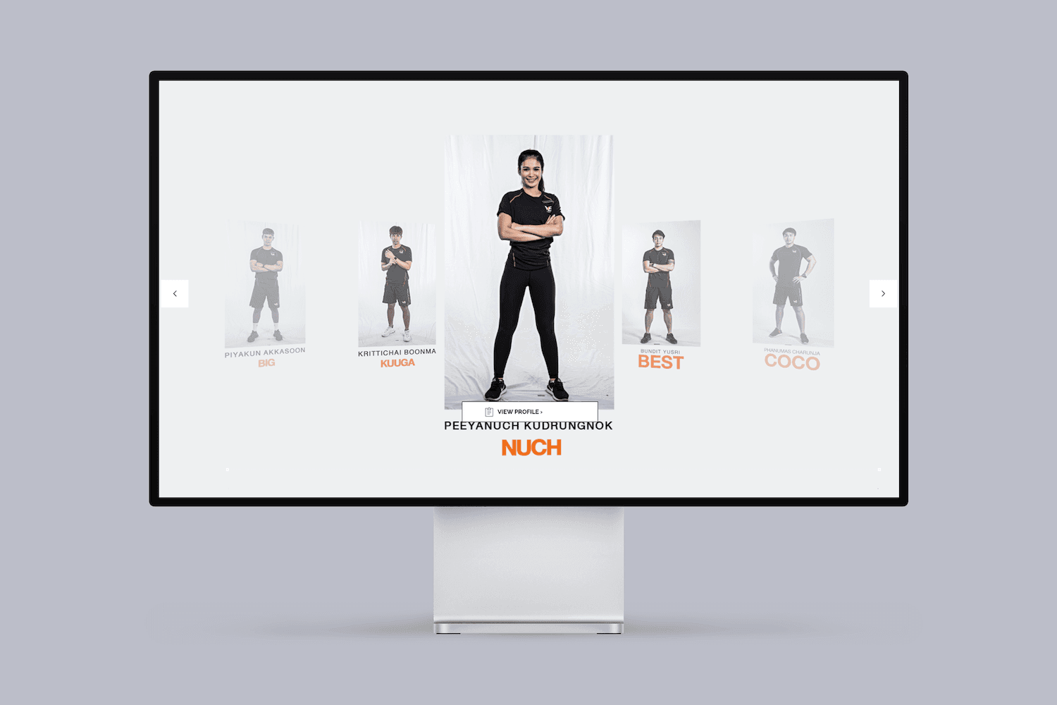 ProDisplay_PtProfile