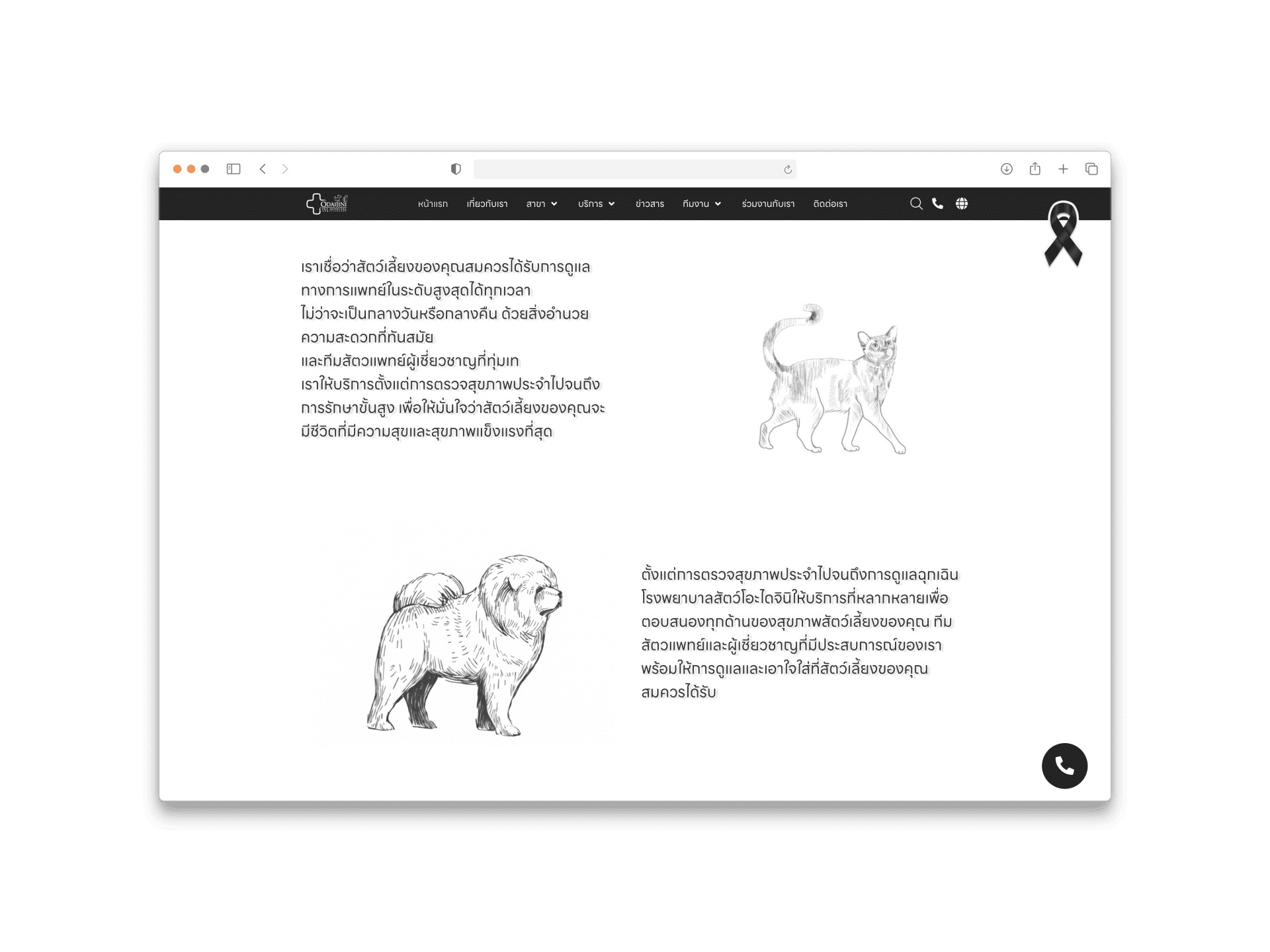 27dd9028-ojaijinipet-hospital1