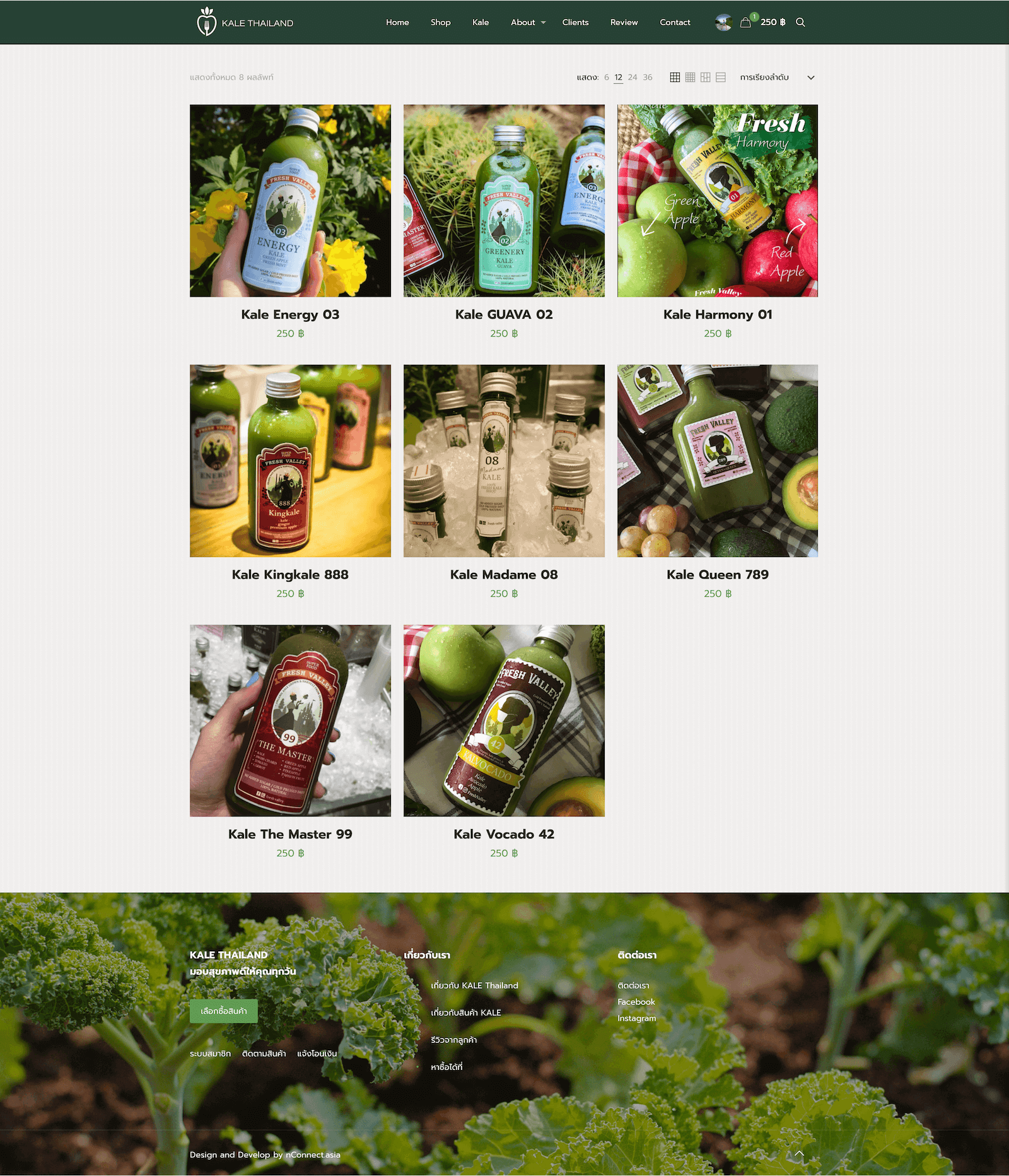 Kale Connection Thailand