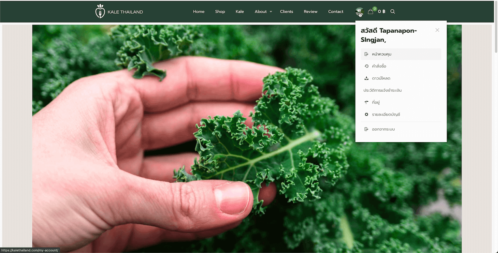Kale Thailand   Farm Website 11 website design services and other services by nConnect