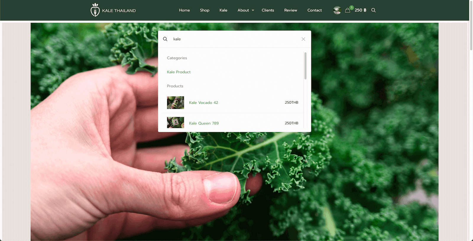 Kale Connection Thailand