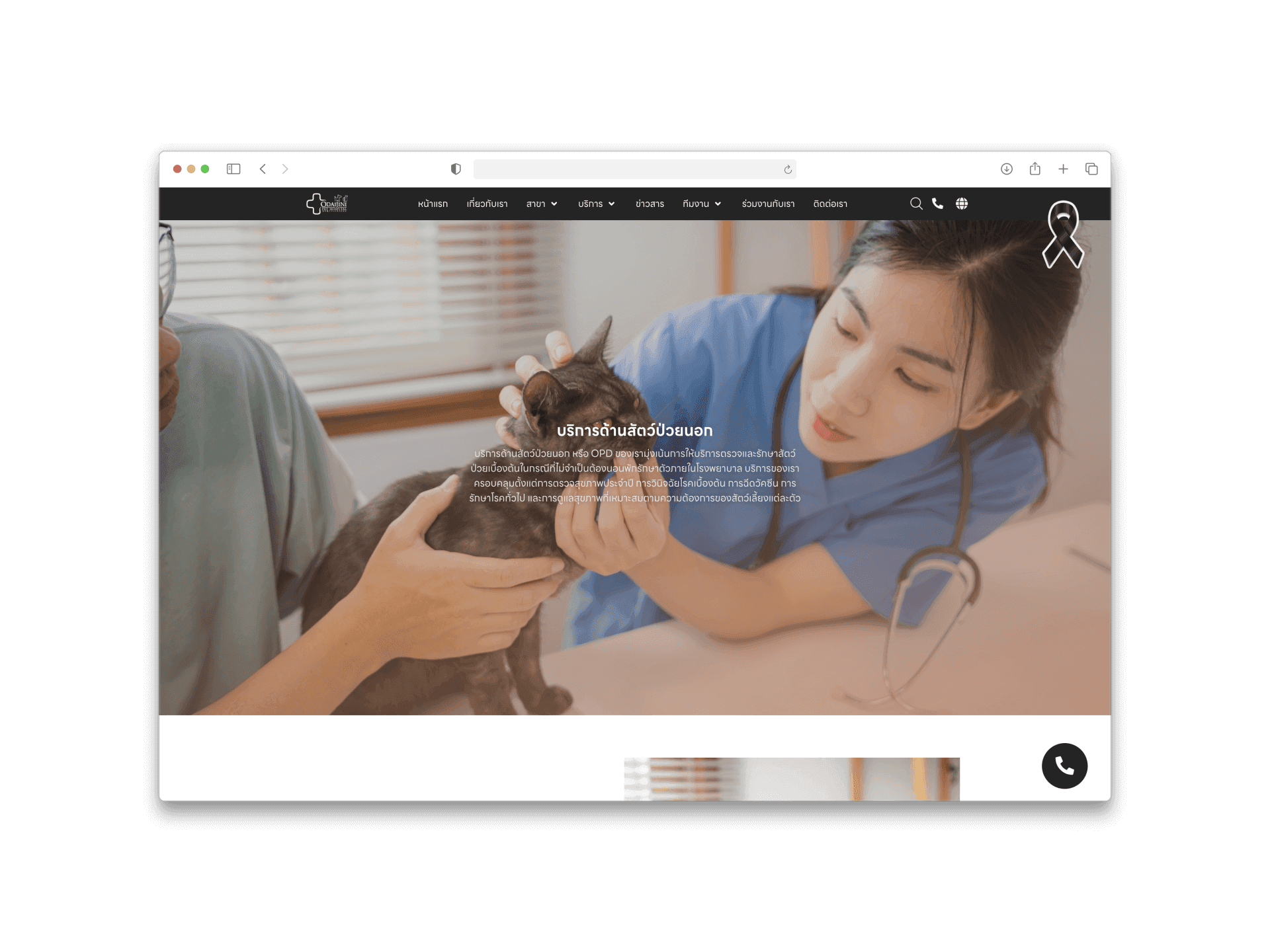 Odaijini Pet Hospital