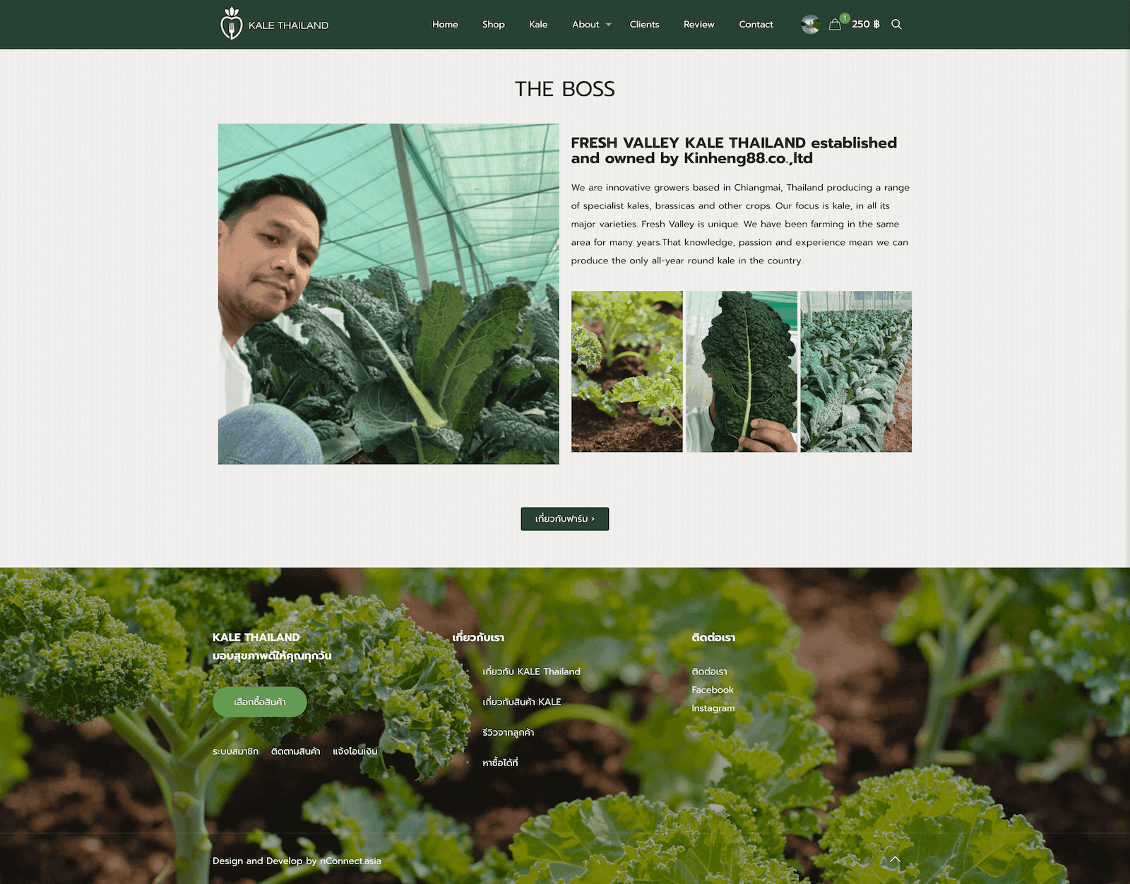 Kale Connection Thailand