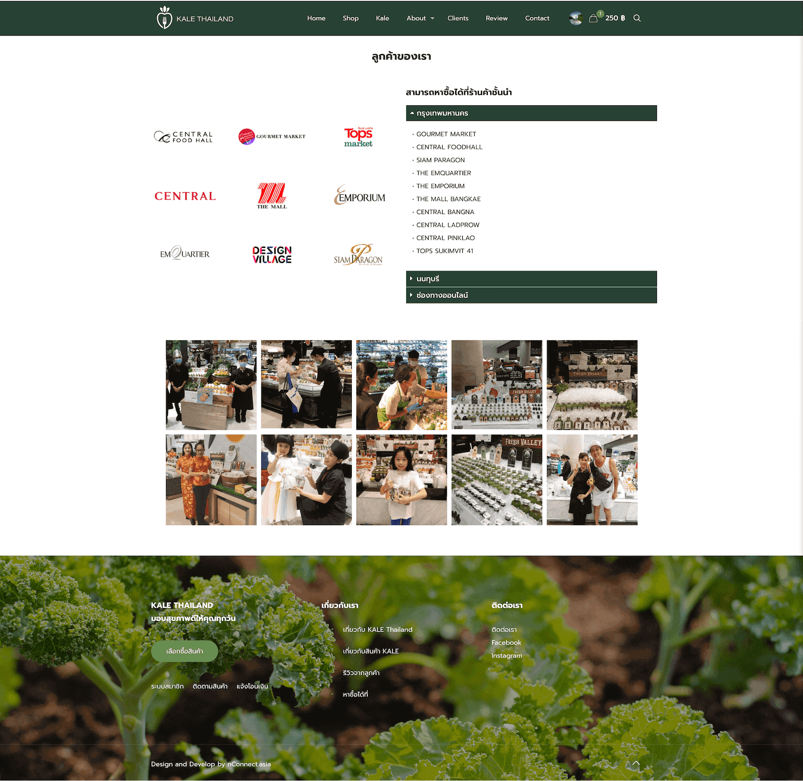 Kale Connection Thailand