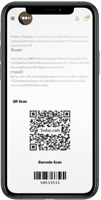 QR Code Scan
